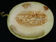 Mancha aquosa do meloeiro (1).JPG.jpg